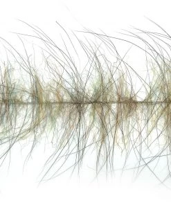 Enrico Puglisi EP Foxy Brush 1.5