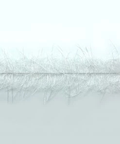 Enrico Puglisi EP Tarantula Hairy Legs Brush 1