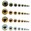 Flymen Fishing Company Fish-Skull Living Eyes Fly Tying Materials