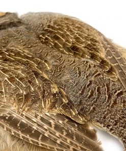 Hareline Hungarian Partridge Skin