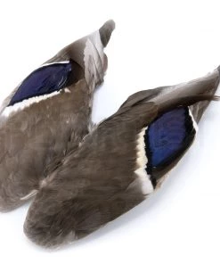 Hareline Fly Tying Materials Mallard Wing Pair