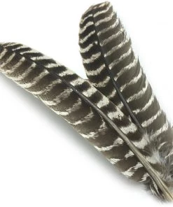 Hareline Ozark Oak Mottled Turkey Quills Fly Tying Materials