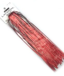 Hedron Lateral Scale