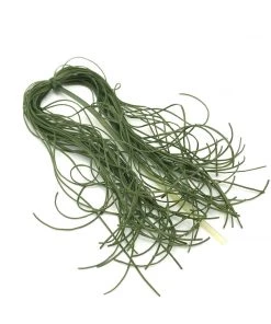 Hareline Life Flex Fly Tying Materials