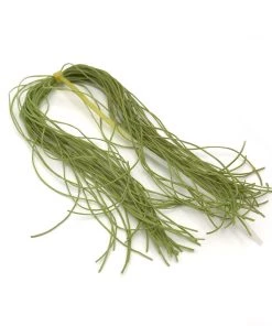 Hareline Life Flex Fly Tying Materials