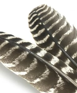 Hareline Ozark Oak Mottled Turkey Quills Fly Tying Materials