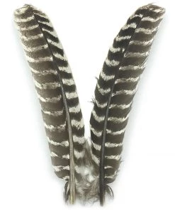 Hareline Ozark Oak Mottled Turkey Quills Fly Tying Materials