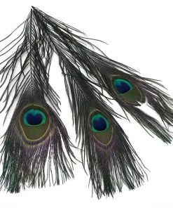 Hareline Fly Tying Materials Peacock Eyed Sticks