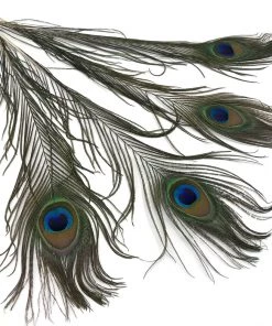 Hareline Fly Tying Materials Peacock Eyed Sticks