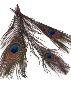 Hareline Fly Tying Materials Peacock Eyed Sticks