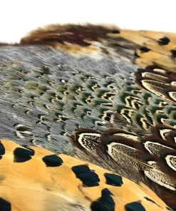 Hareline Fly Tying Materials Ringneck Pheasant Skin
