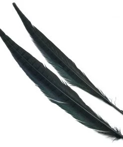 Hareline Ringneck Pheasant Tail Pair