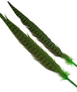 Hareline Ringneck Pheasant Tail Pair