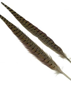 Hareline Ringneck Pheasant Tail Pair