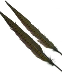 Hareline Ringneck Pheasant Tail Pair