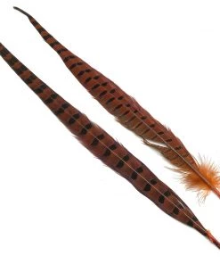 Hareline Ringneck Pheasant Tail Pair