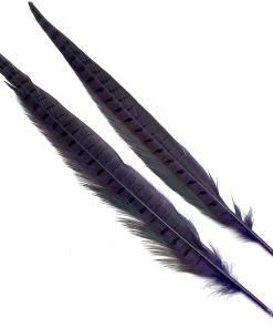 Hareline Ringneck Pheasant Tail Pair