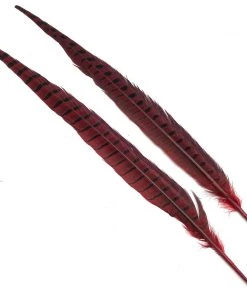 Hareline Ringneck Pheasant Tail Pair