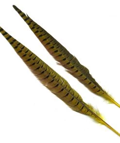 Hareline Ringneck Pheasant Tail Pair