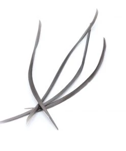 Hareline Stripped Goose Biots