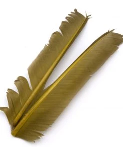 Hareline Turkey Biot Quills Fly Tying Materials