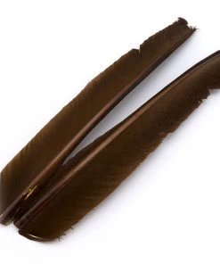 Hareline Turkey Biot Quills Fly Tying Materials