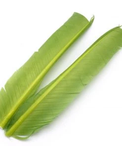 Hareline Turkey Biot Quills Fly Tying Materials