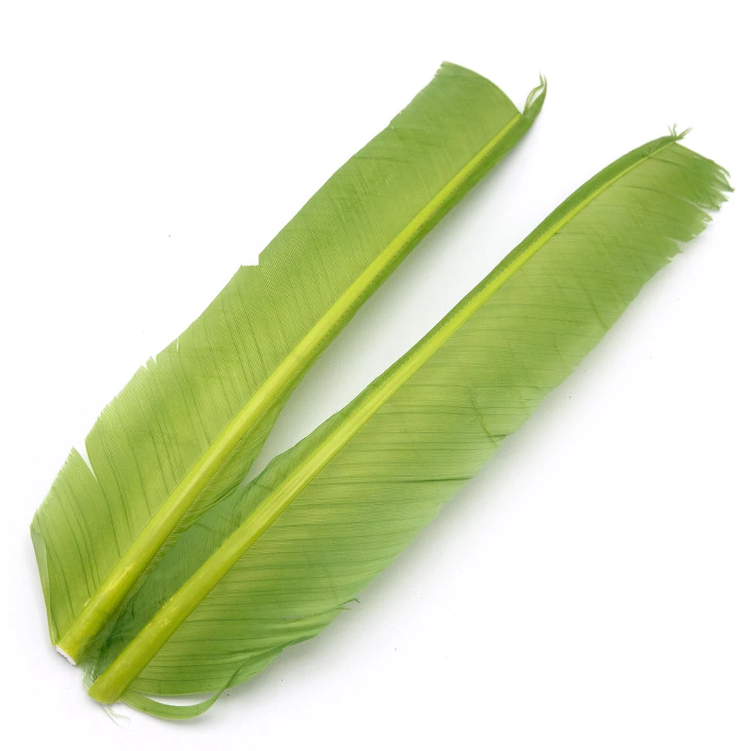 Hareline Turkey Biot Quills Fly Tying Materials