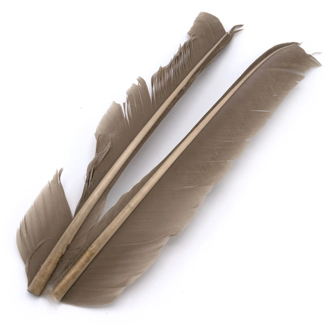 Hareline Turkey Biot Quills Fly Tying Materials