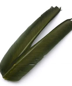 Hareline Turkey Biot Quills Fly Tying Materials