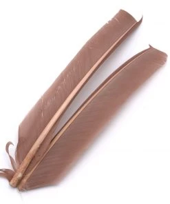 Hareline Turkey Biot Quills Fly Tying Materials