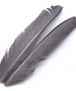 Hareline Turkey Biot Quills Fly Tying Materials