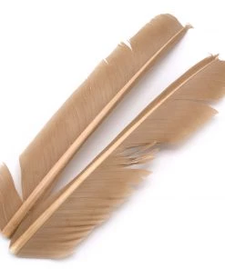 Hareline Turkey Biot Quills Fly Tying Materials