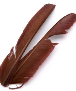 Hareline Turkey Biot Quills Fly Tying Materials