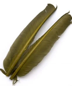 Hareline Turkey Biot Quills Fly Tying Materials