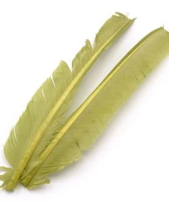 Hareline Turkey Biot Quills Fly Tying Materials