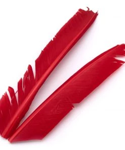 Hareline Turkey Biot Quills Fly Tying Materials