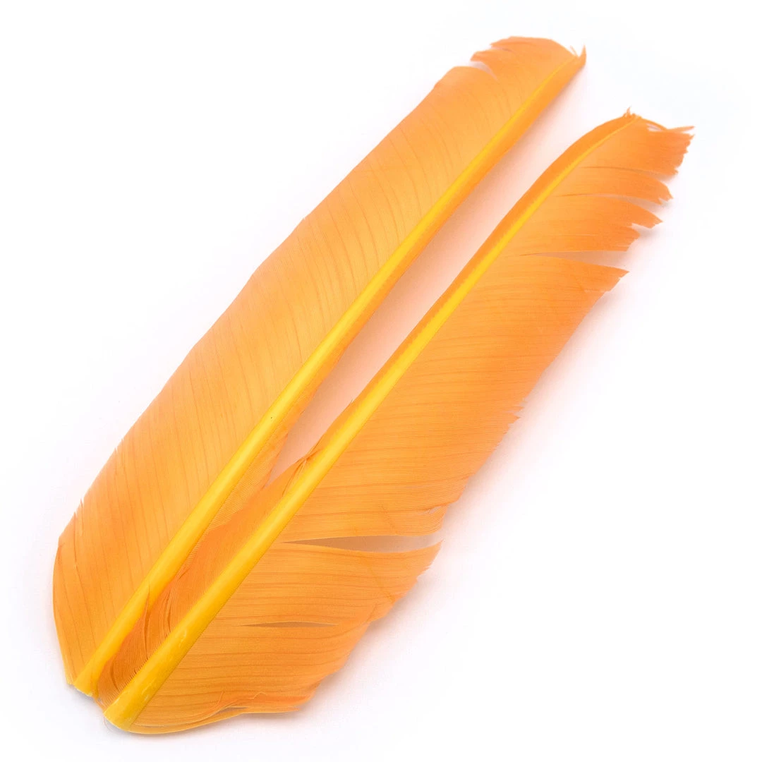 Hareline Turkey Biot Quills Fly Tying Materials
