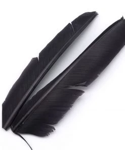 Hareline Turkey Biot Quills Fly Tying Materials