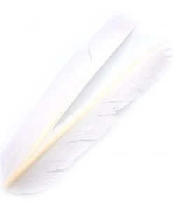 Hareline Turkey Biot Quills Fly Tying Materials