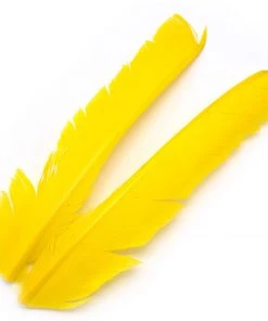 Hareline Turkey Biot Quills Fly Tying Materials